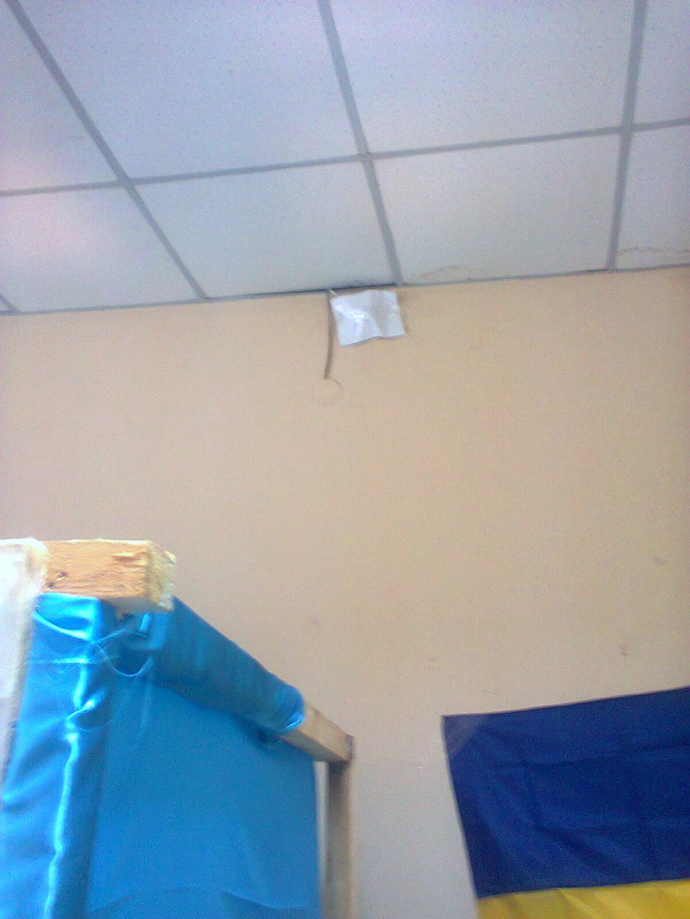 kropyvnytskyi 29.10.2017 2