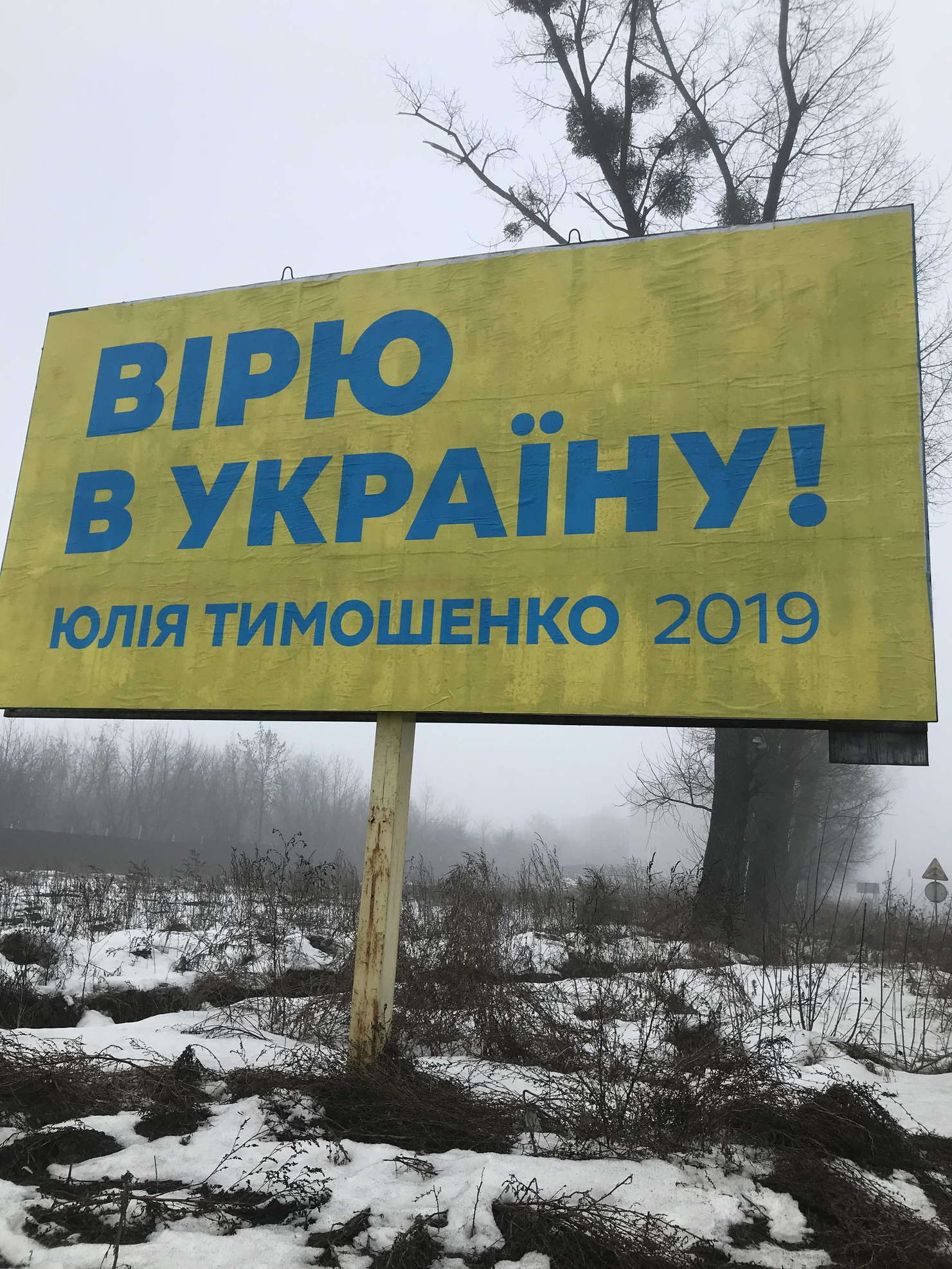 06 02 2019 bilbordy kandydativ bez vyhidnyh danyh Tymoshenko Kyivska obl