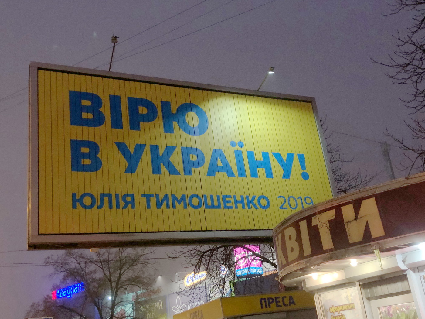 07 02 2019 Kyiv bilbordy tymoshenko hnata jury