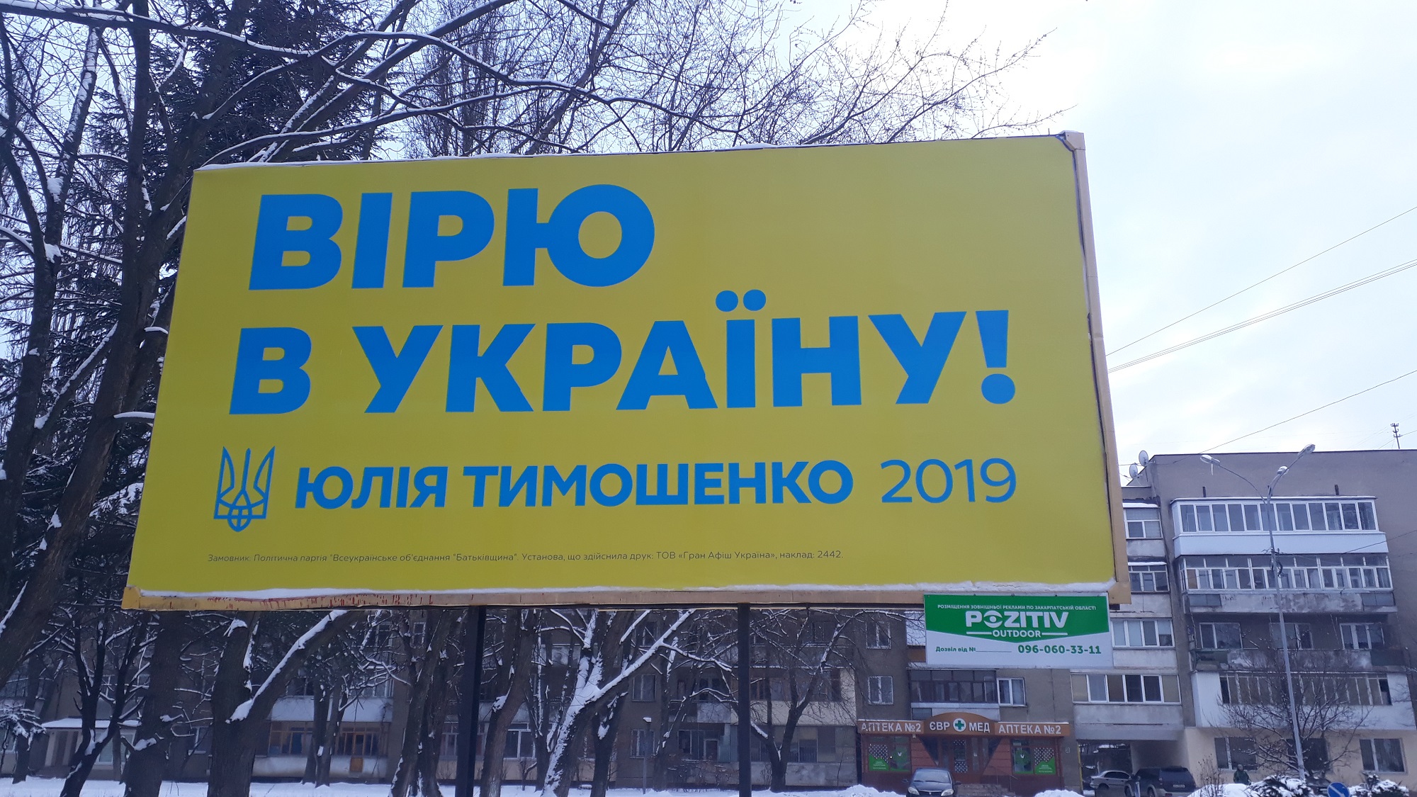 28 01 2019 Zakarpattia tymoshenko z